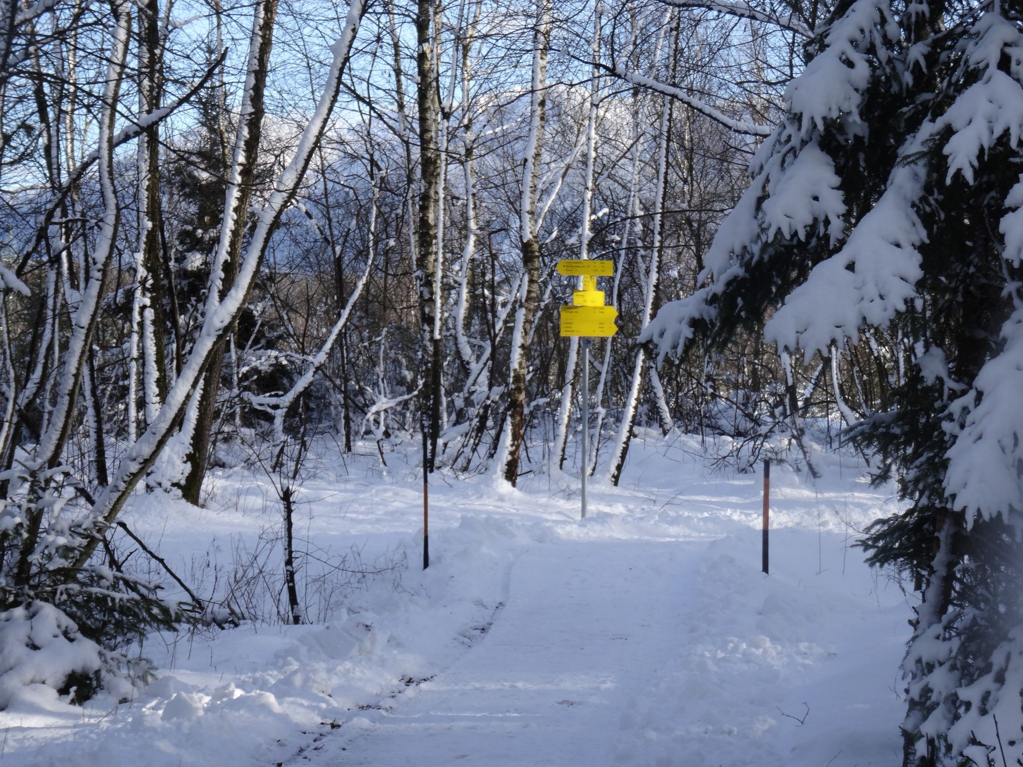 Winterwandern Grassau