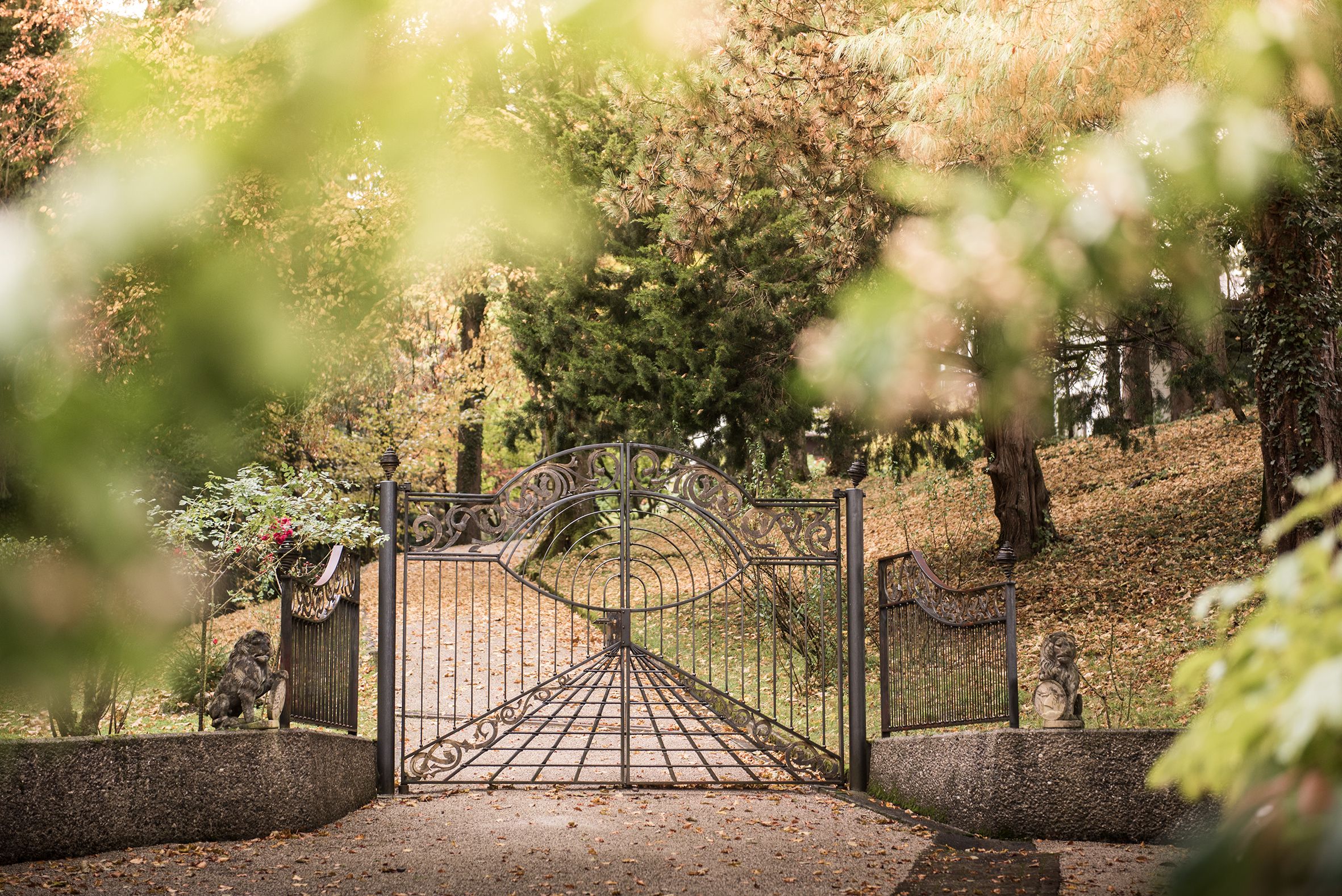 SawallischStiftung-3839