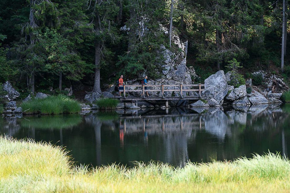 Taubensee Wanderung