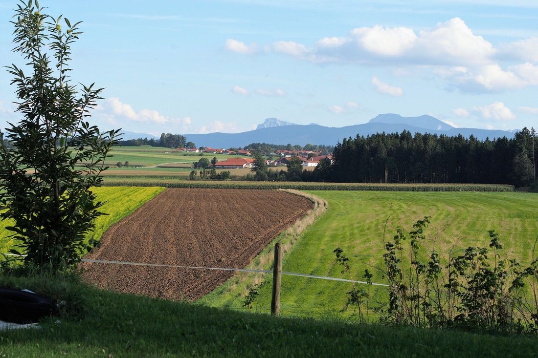 Ausblick