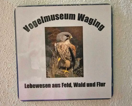 Vogelmuseum-1