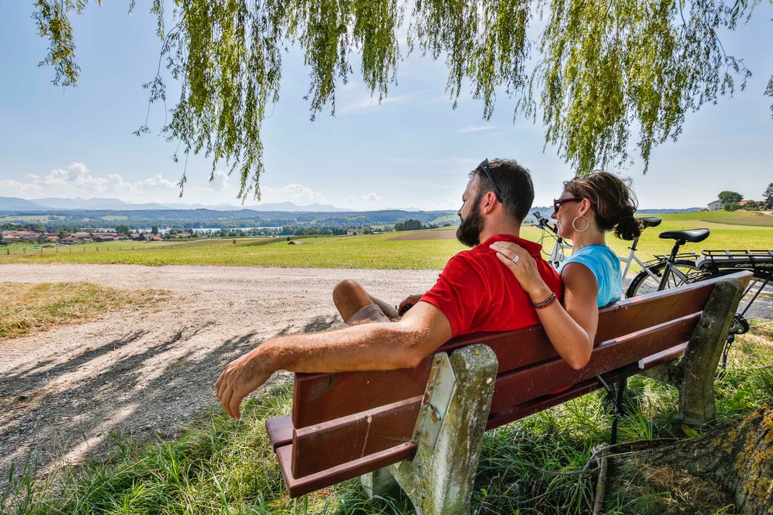Waginger See Rundweg Aussicht