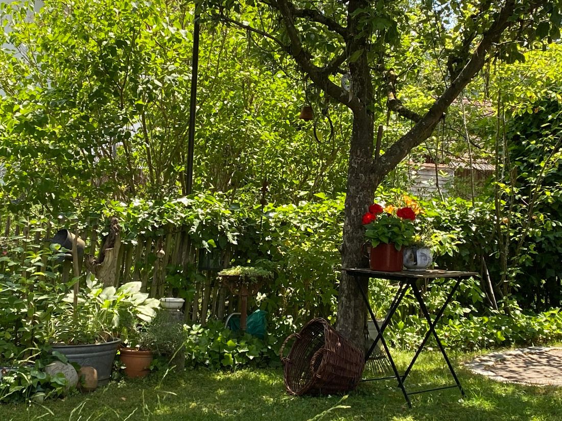 Blick in den Garten ...