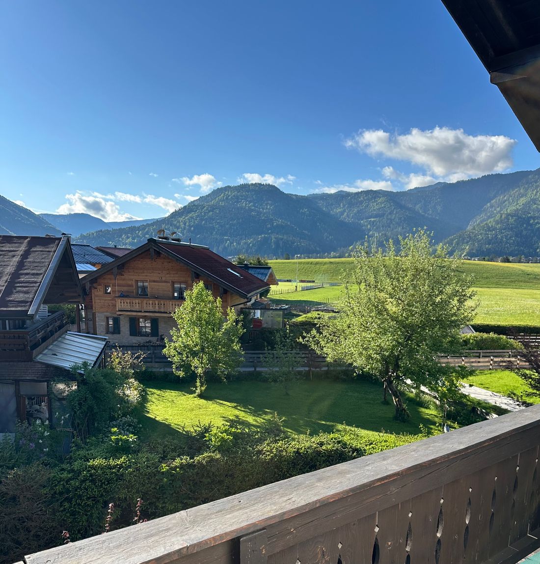 Blick ins Grüne