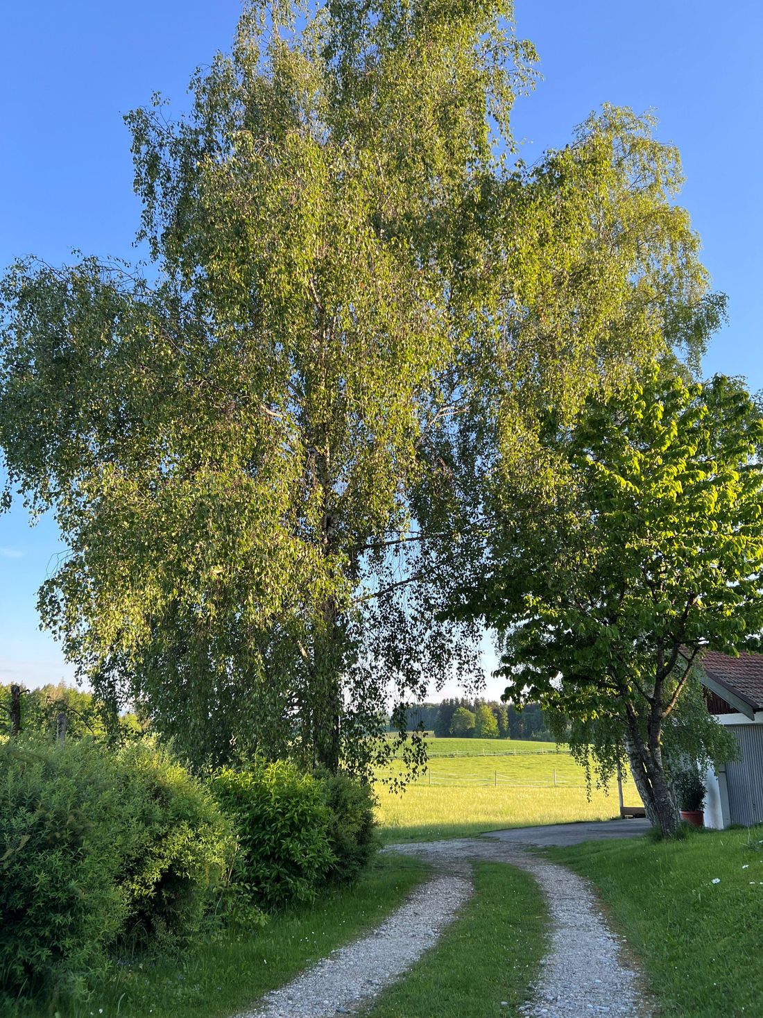 Grundstück