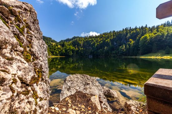 Taubensee