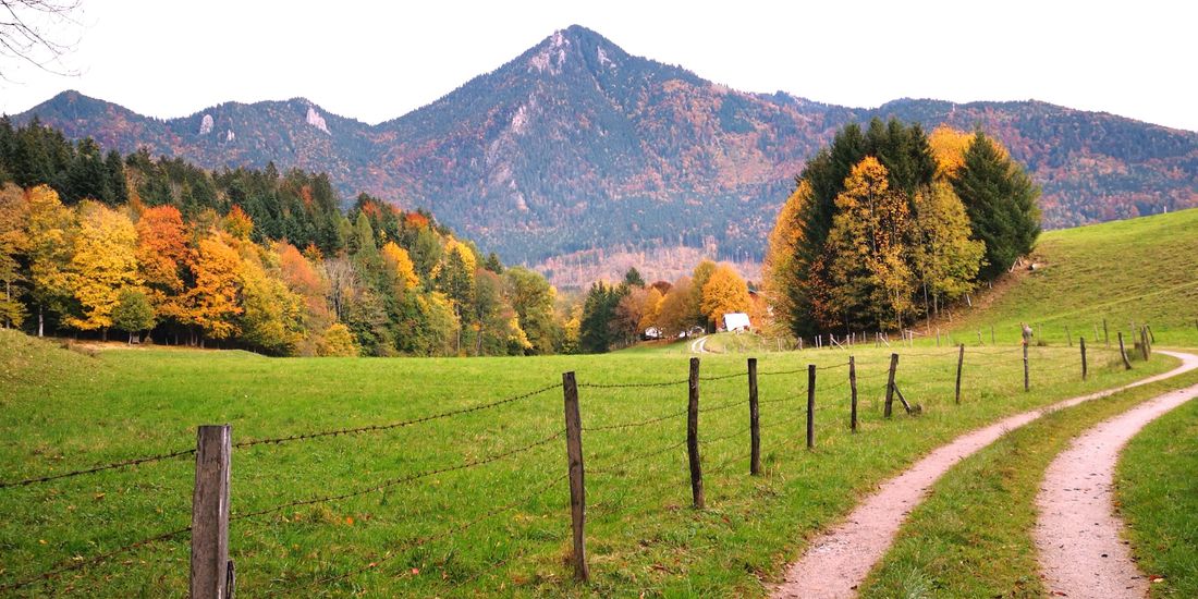 die nächste Umgebung von Holzen
