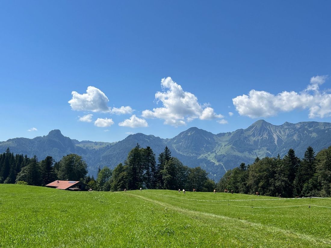 Blick über die Chiemhauser Alm in die Schlechinger Bergwelt