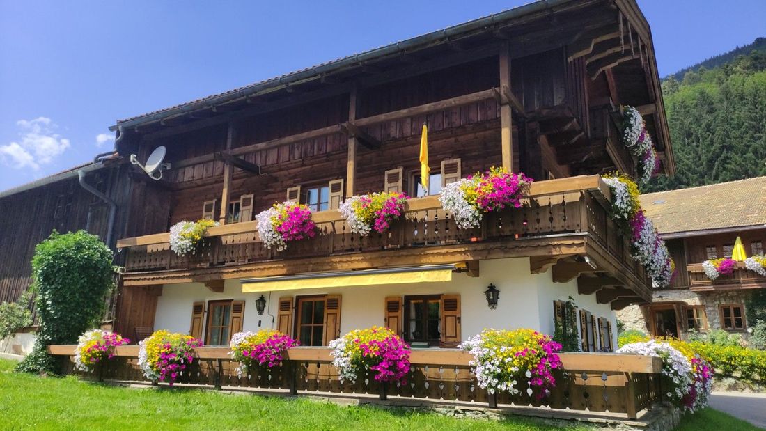 Zuhaus mit Ferienwohnung Adlernest Obersteinberg-Hof Ruhpolding Blütenpracht