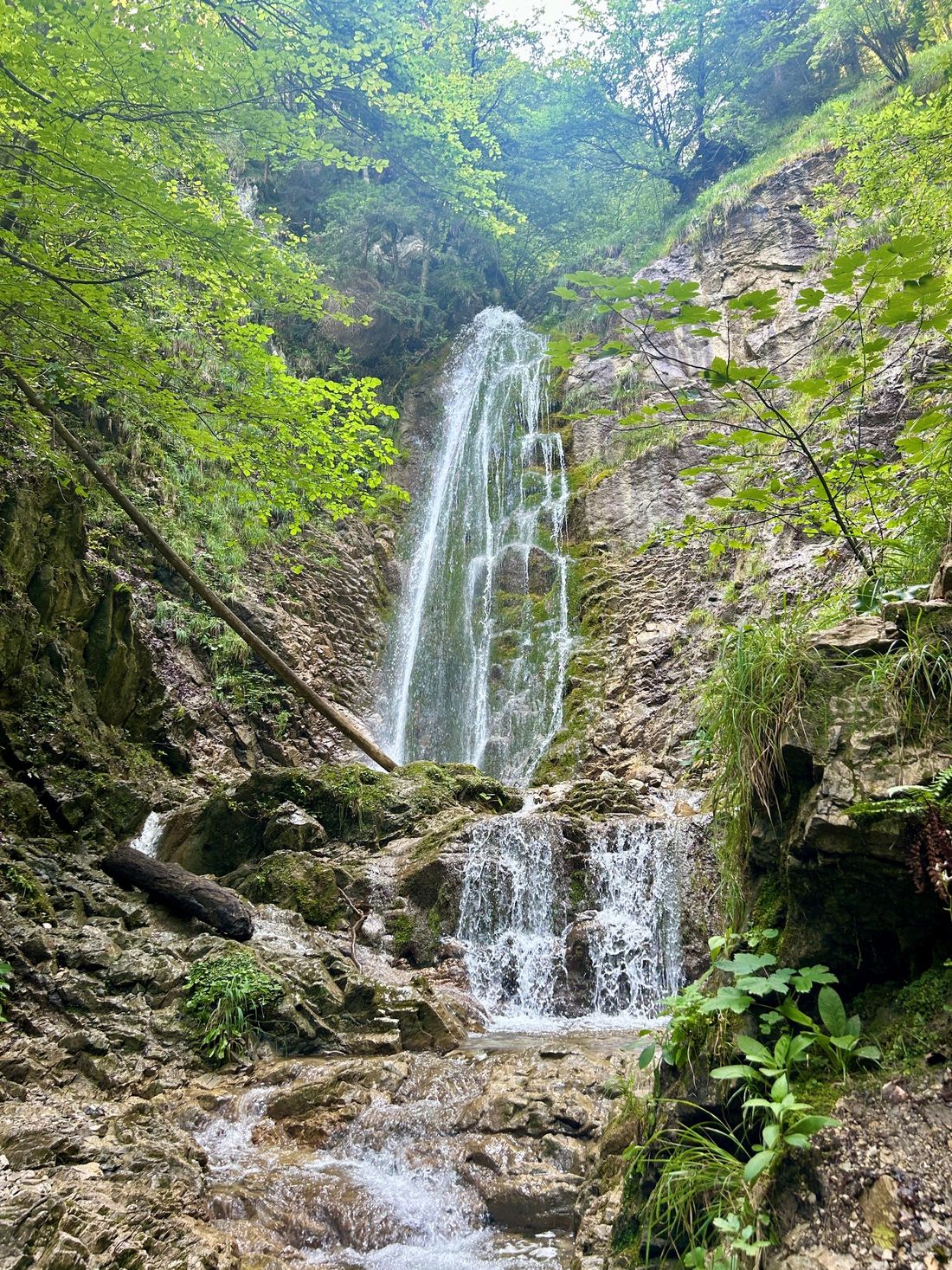 Wasserfall am Grießenbach