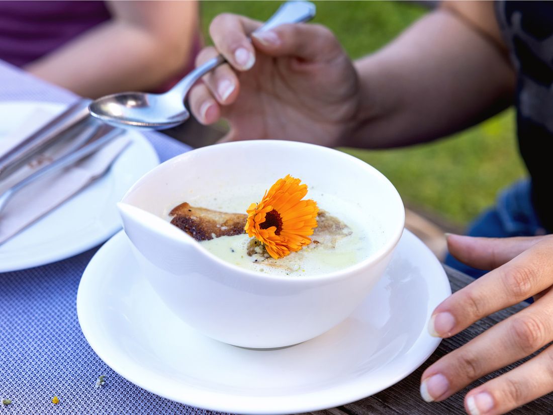 Wildkräuterwanderung