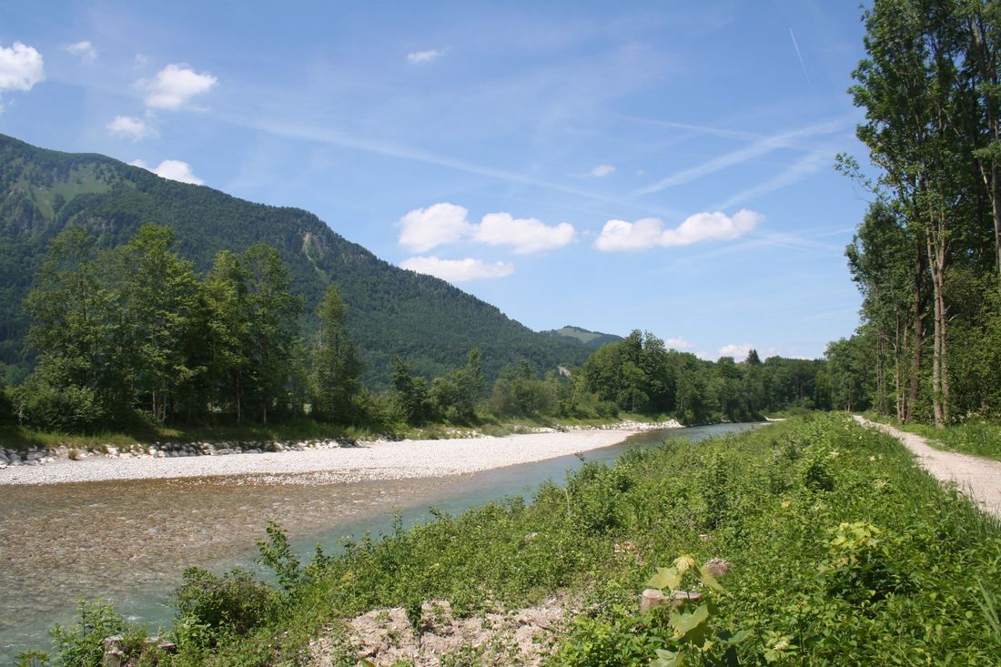 Tiroler Ache