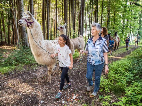 Bayerisches Lama-Trekking
