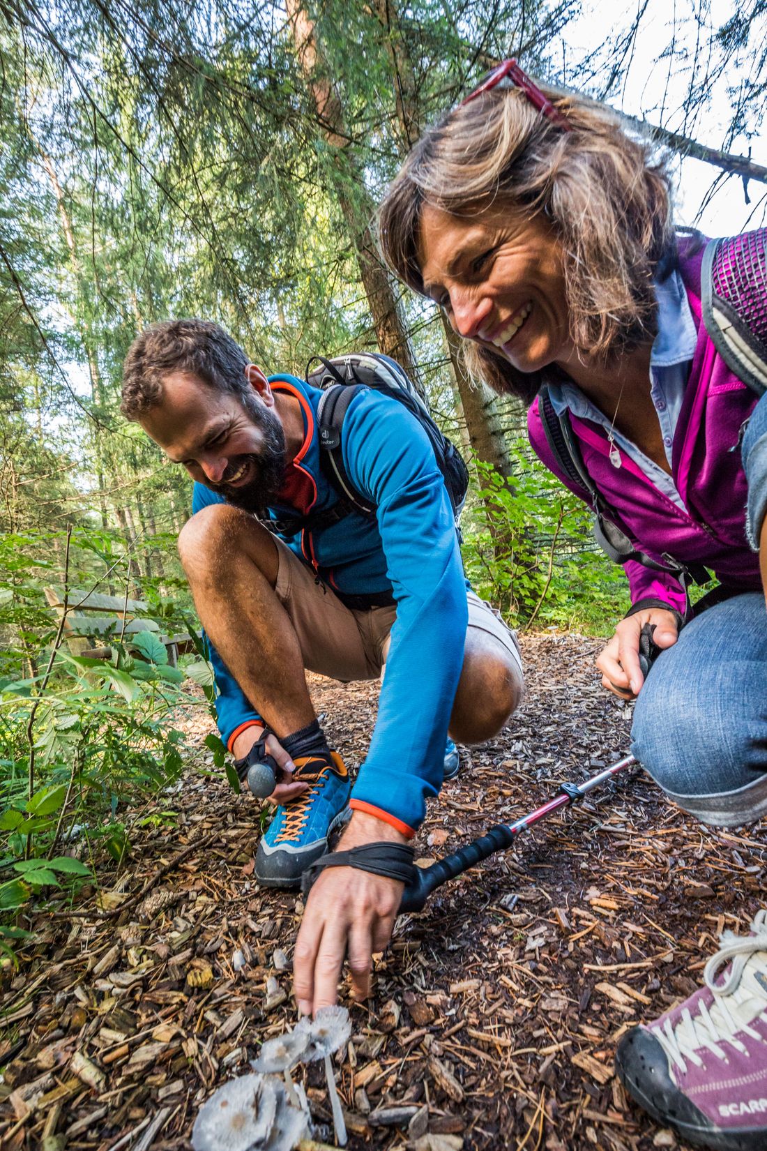 Entdeckungen im Schönramer Filz bei Petting