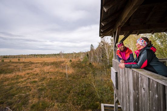 Aussichtsturm in der Grassauer Kendlmühlfilze