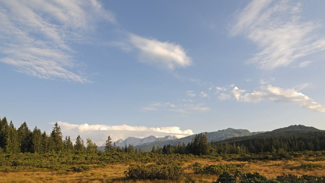 Winklmoos - Alm mit Blick zu den Loferer Steinbergen und Steinplatte