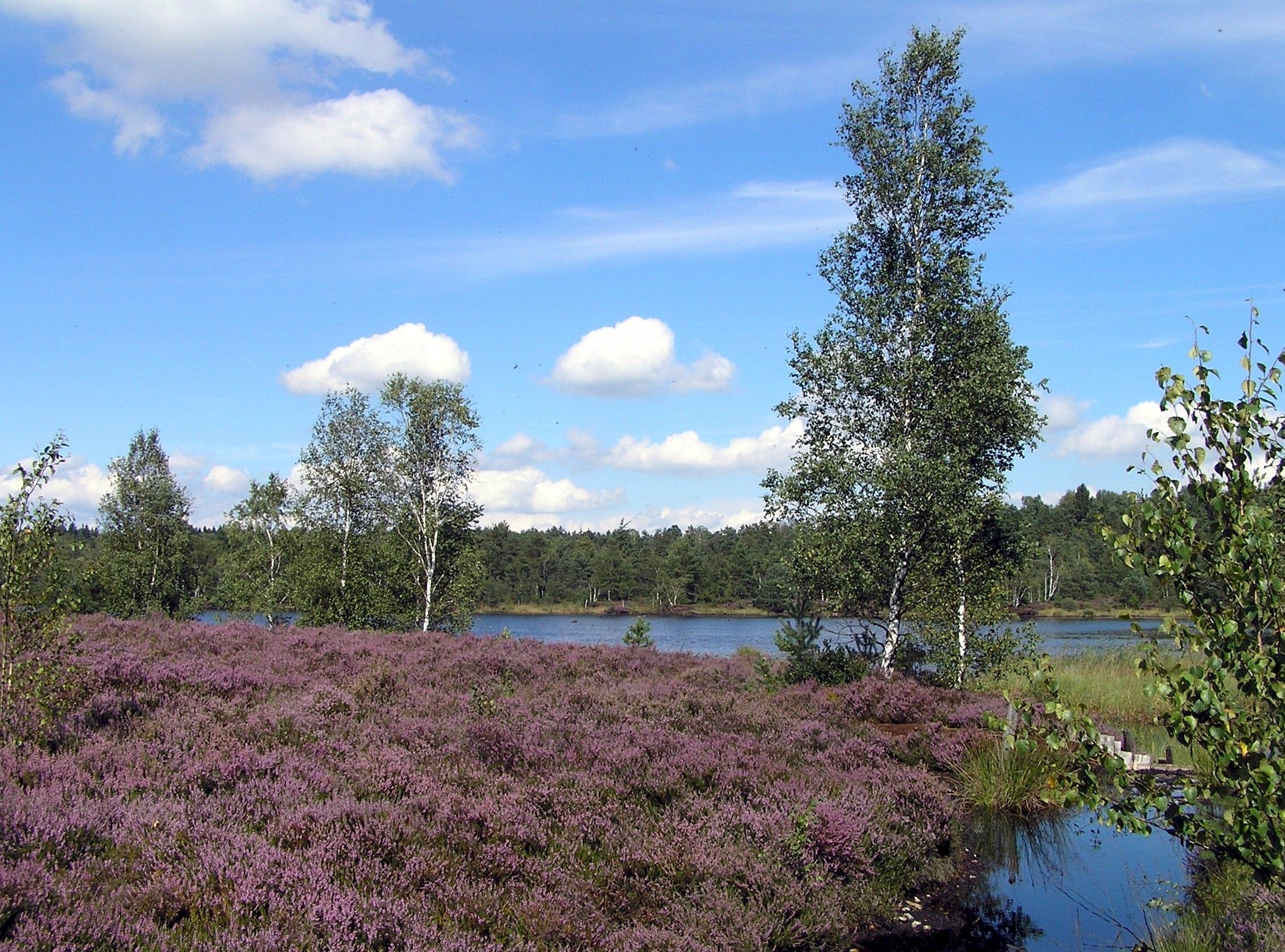 bild3_tourentafel_Petting