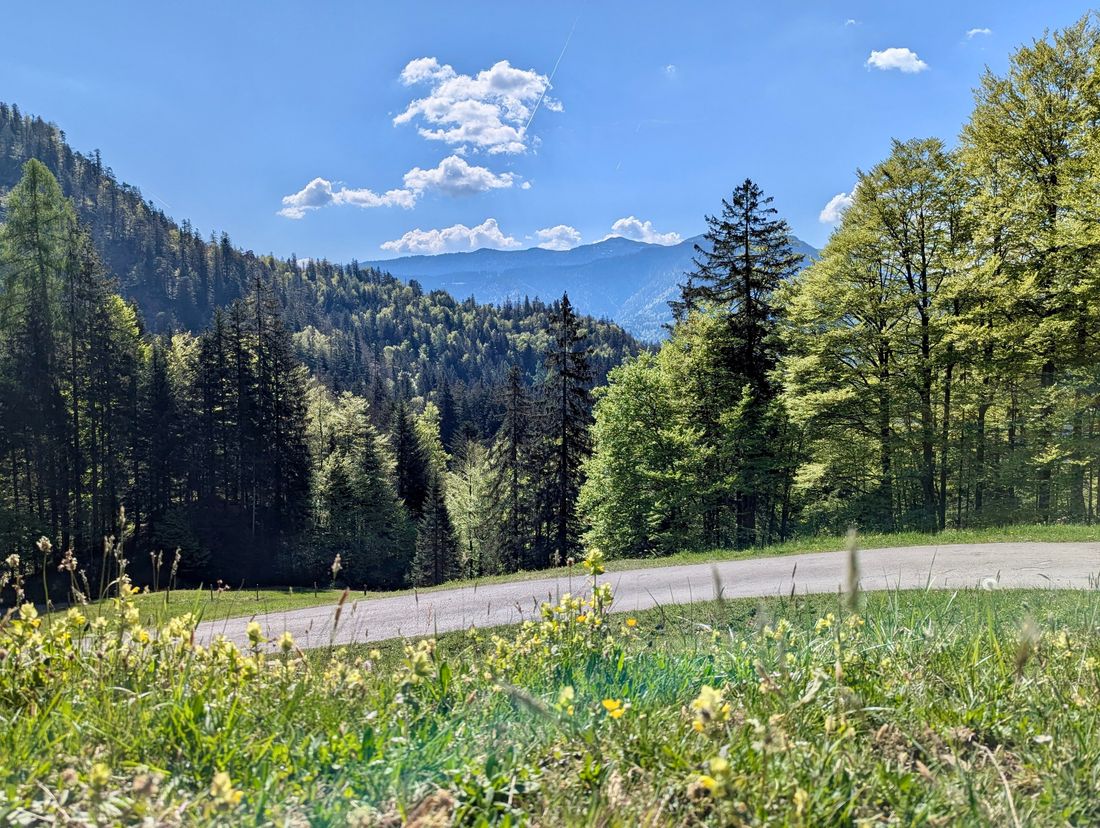 Hutzenalm Auffahrtsweg