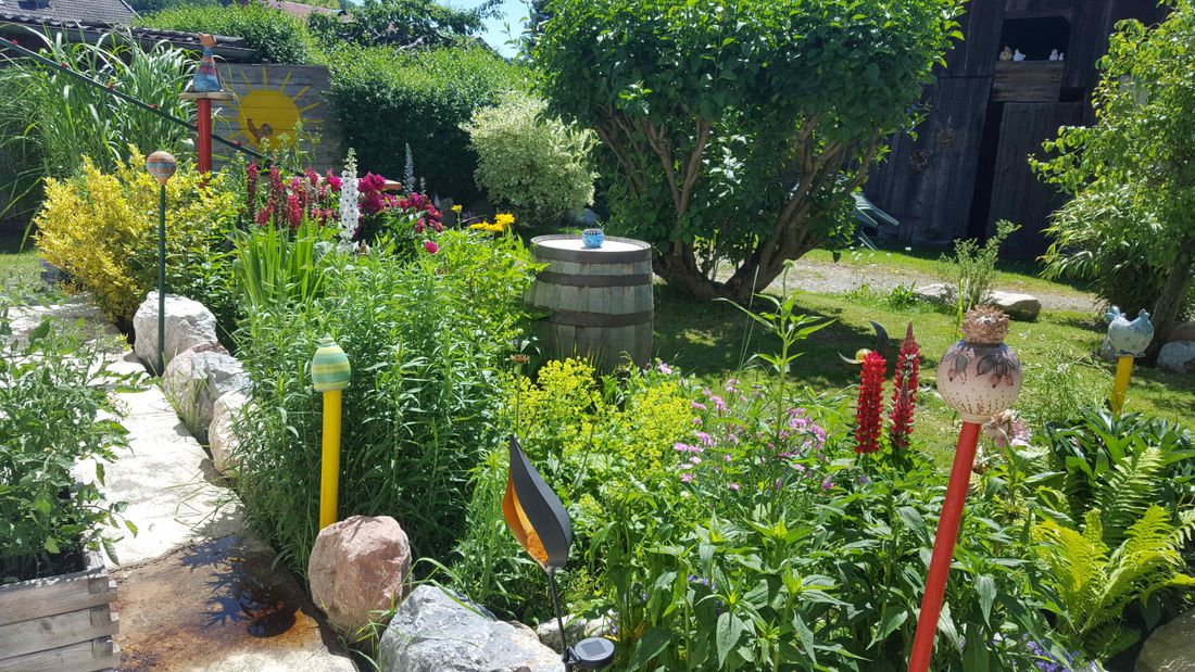 Blick vom Küchenfenster in den Garten