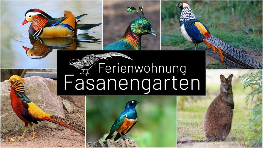 Ferienwohnung Fasanengarten Traunreut