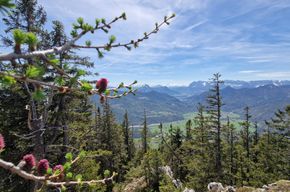 Bergwelt Schleching