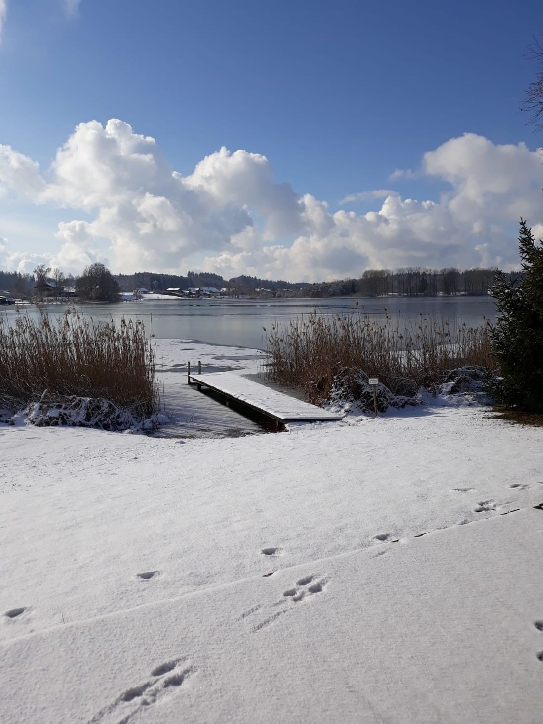 Winter am Seeoner See