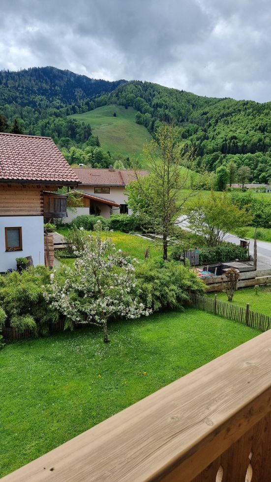 Blick vom Balkon FW2