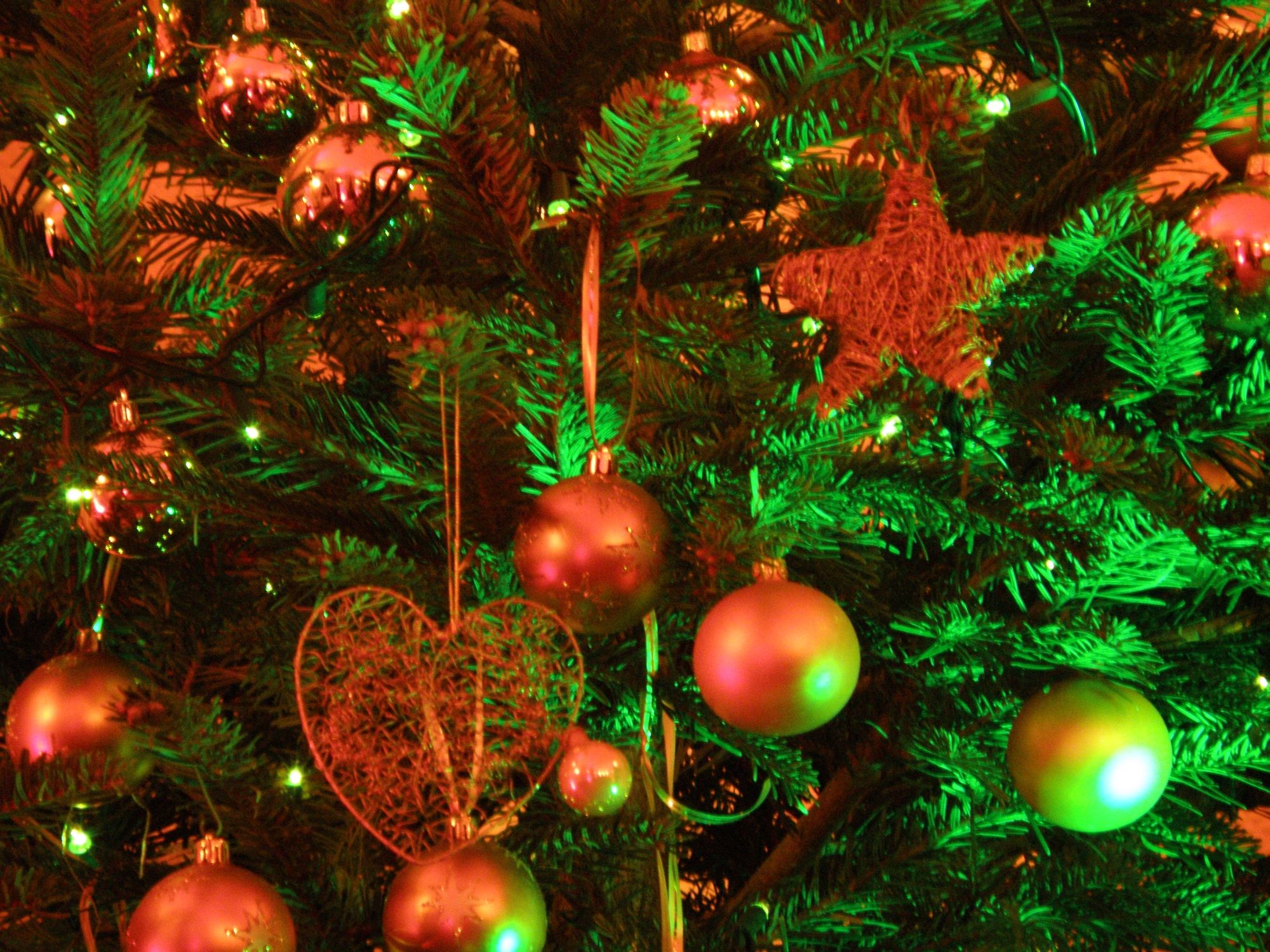 Christmas_tree_2008[1]