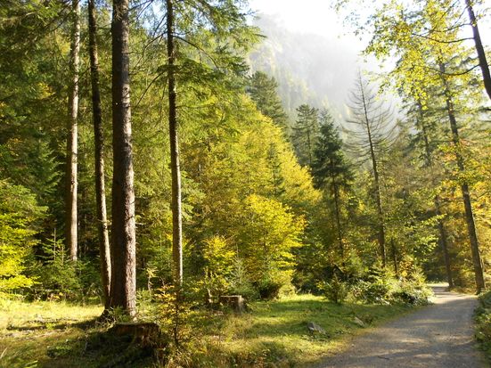 Wappbachtal