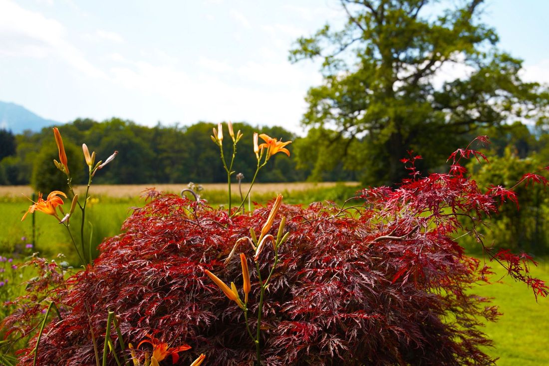 Garten