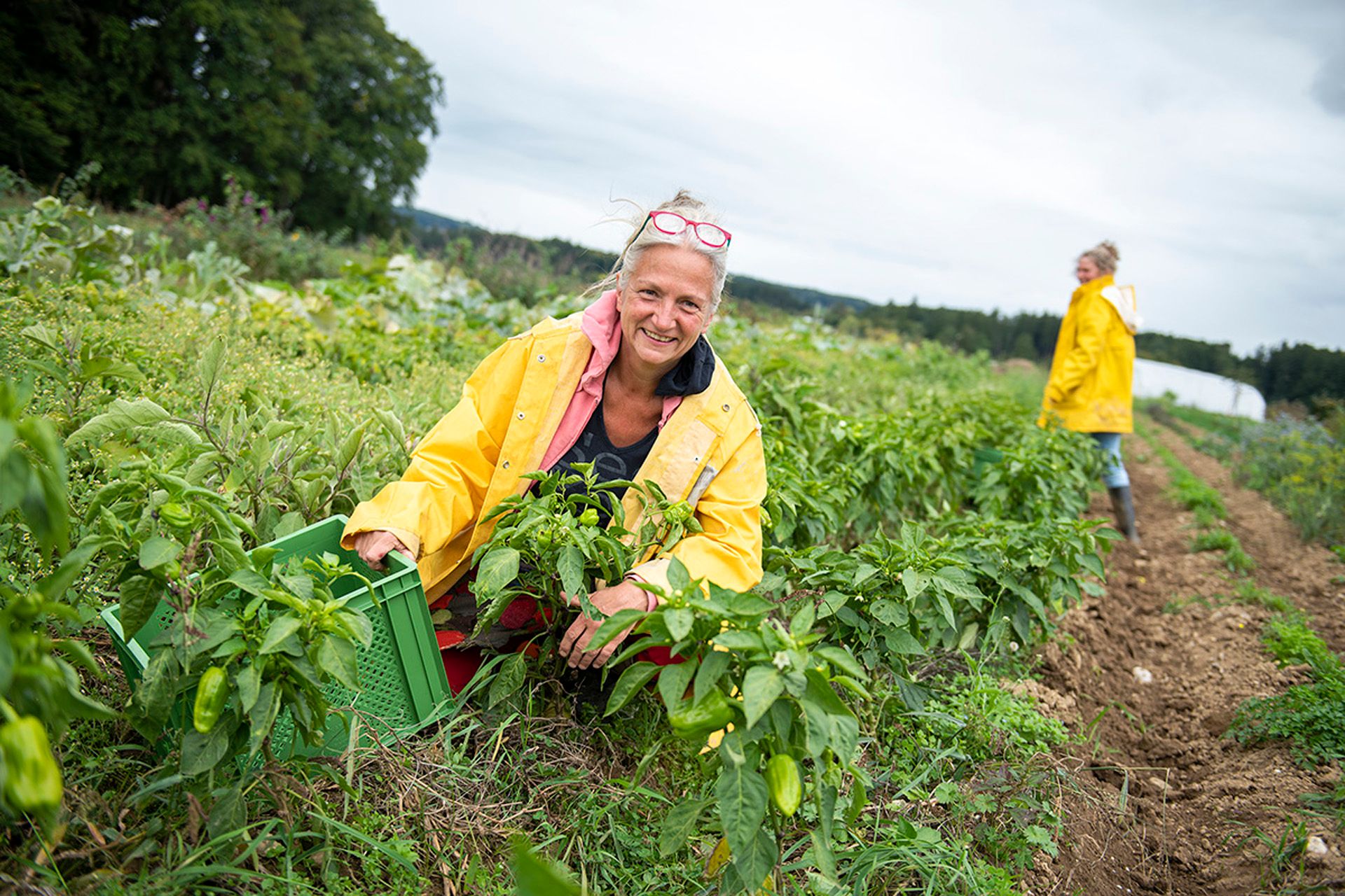 Girls'Day bei der SoLaWi Chiemgau