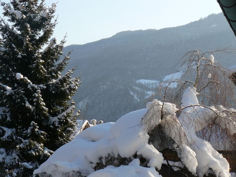 Winter-Ausblick