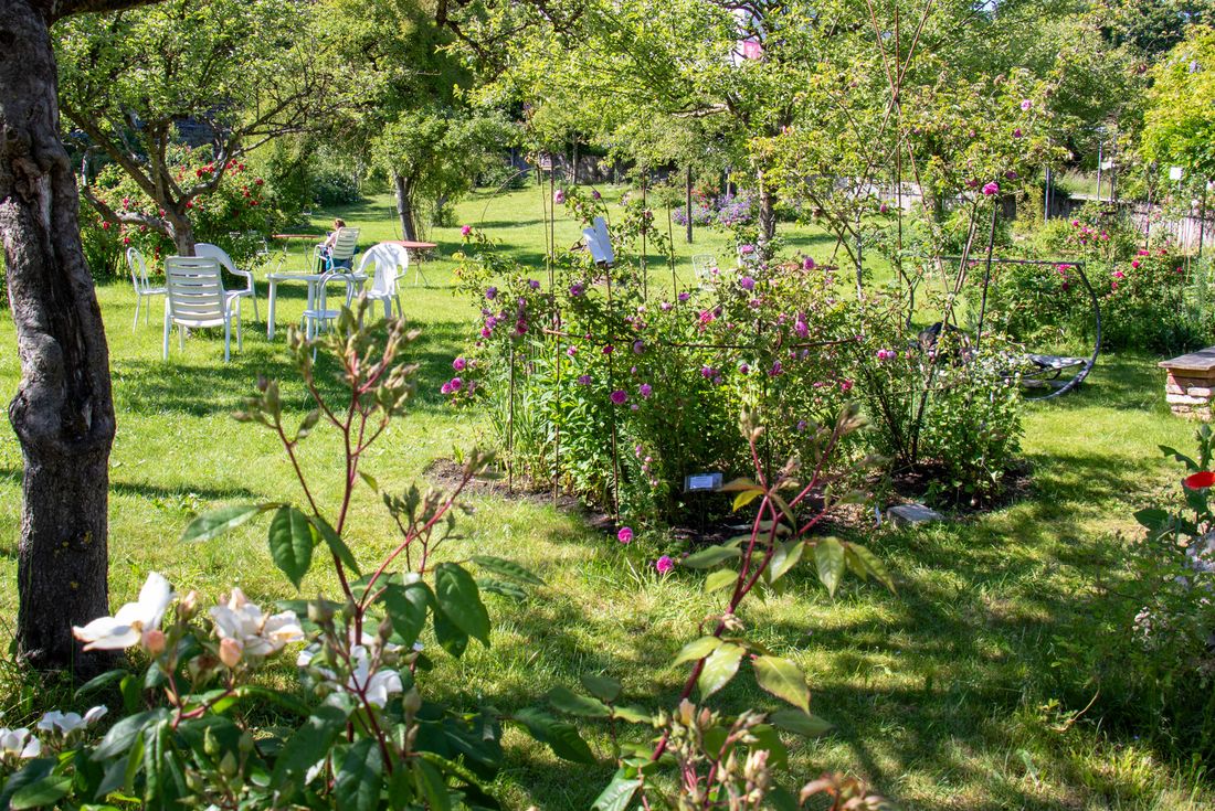 Ruheplätze-im-Rosengarten-Trostberg