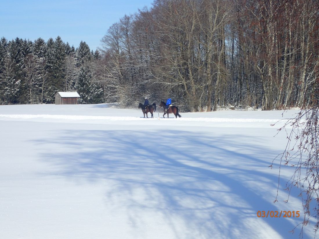 Winterwandern in der Rottauer Filze