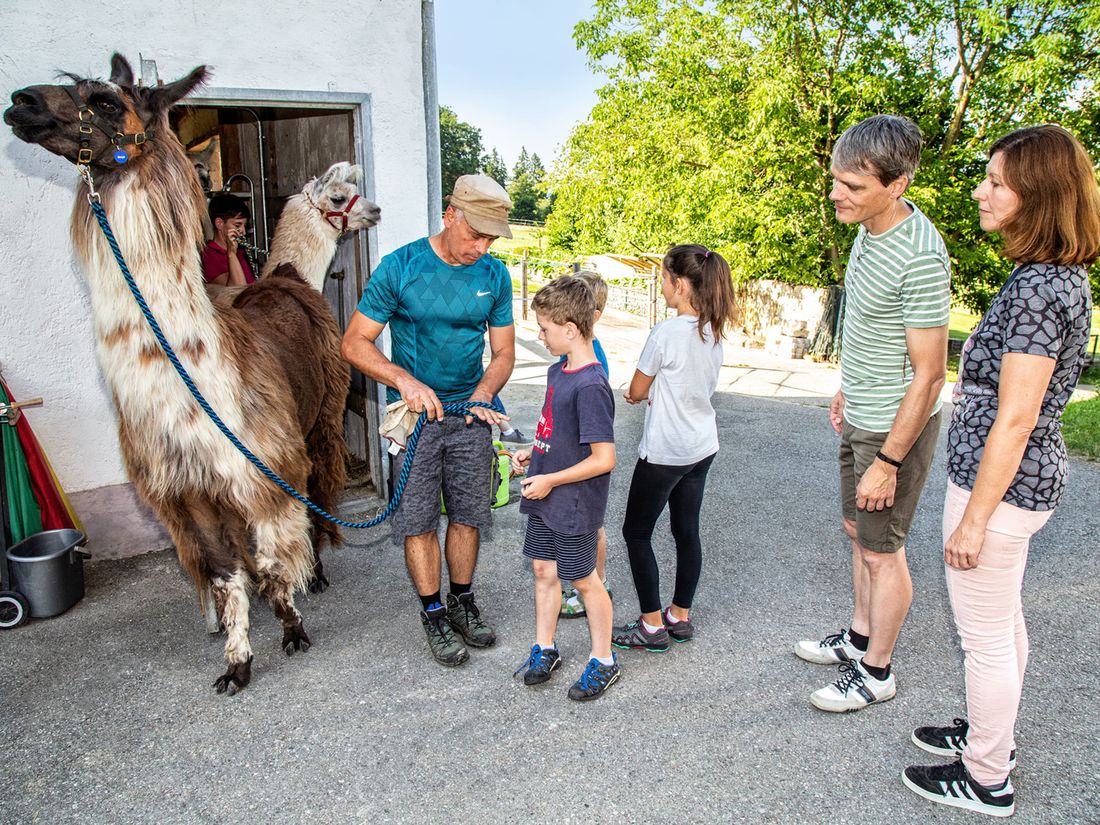 Lamas am Waginger See
