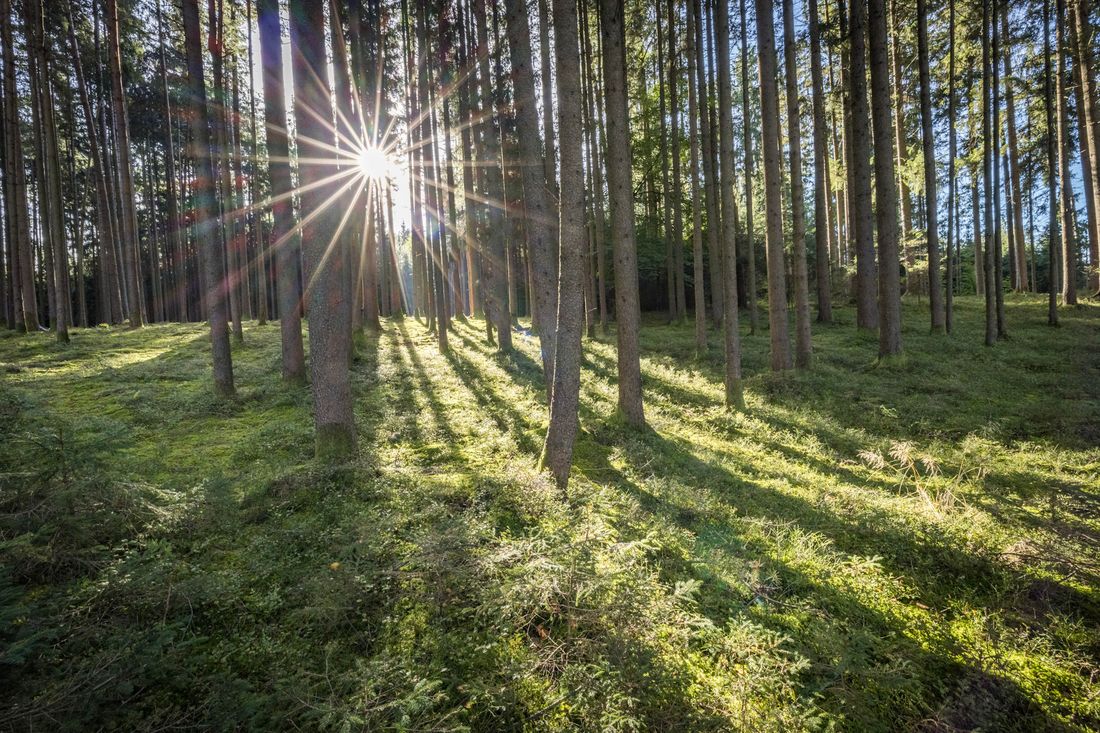 Seeon_Seebruck Chiemgau Tourismus.jpg