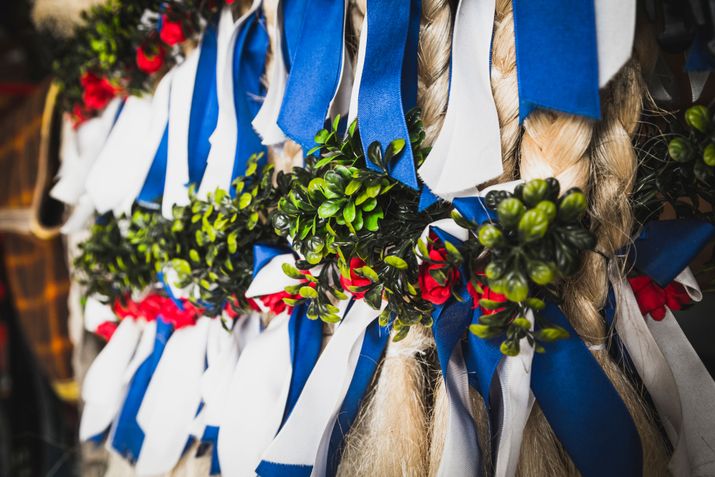Bavarian jewelry from horse manes