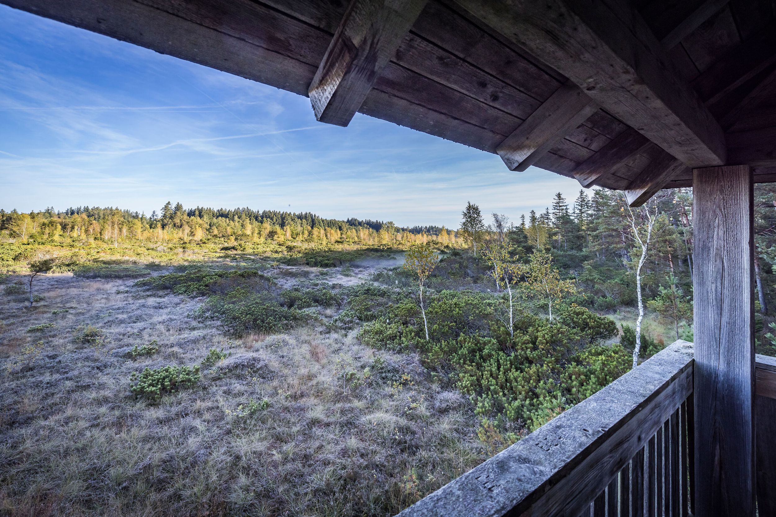 Beobachtungsplattform_Latschenfeld_Seebruck