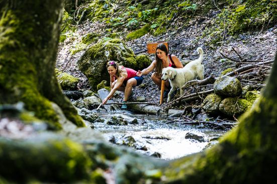 Outdoor-Spaß mit Hund im Bergwald-Erlebnispfad Inzell