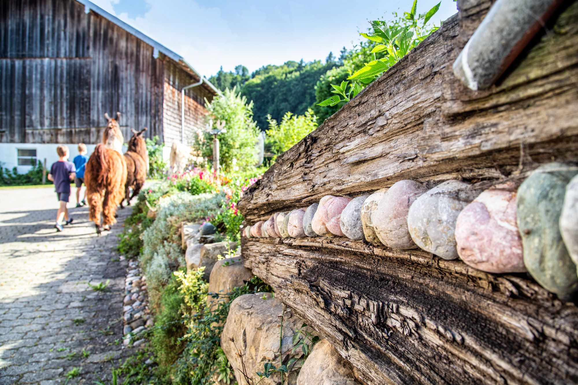 abenteuer_lama_trekking_effner_IMG_4094