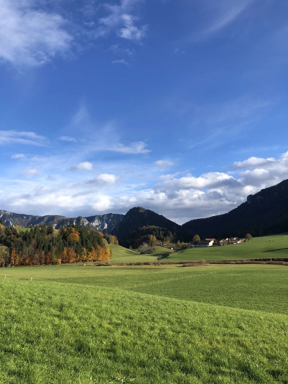 Umgebung_Sommer