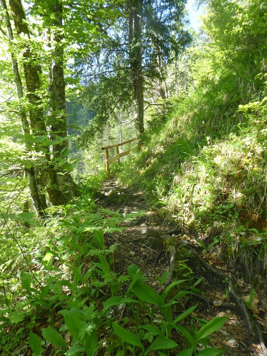 Steig zur Zwerchenbergalm