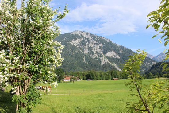 Aussicht zum Rauschberg