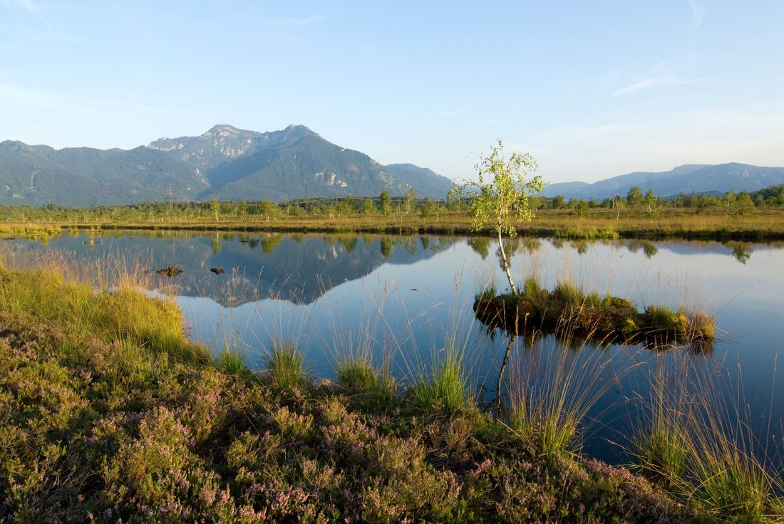 Trailrun Moor - Wasserfall - Panoramaweg
