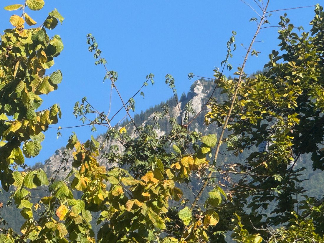 Umliegende Berge