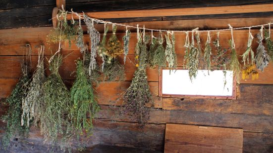 Räuchern mit heimischen Pflanzen