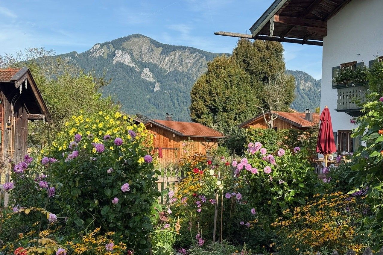 Blumenbild BEARBEITET