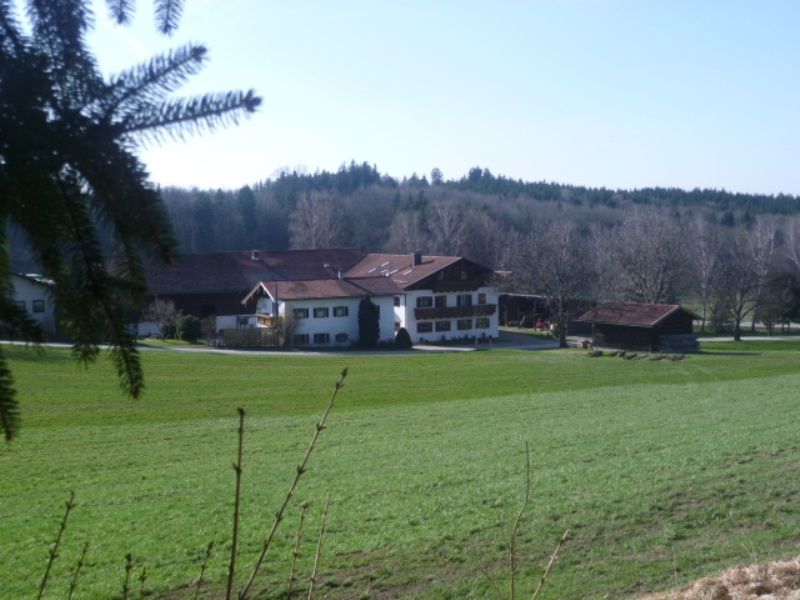 Mayerhof von Waldrand