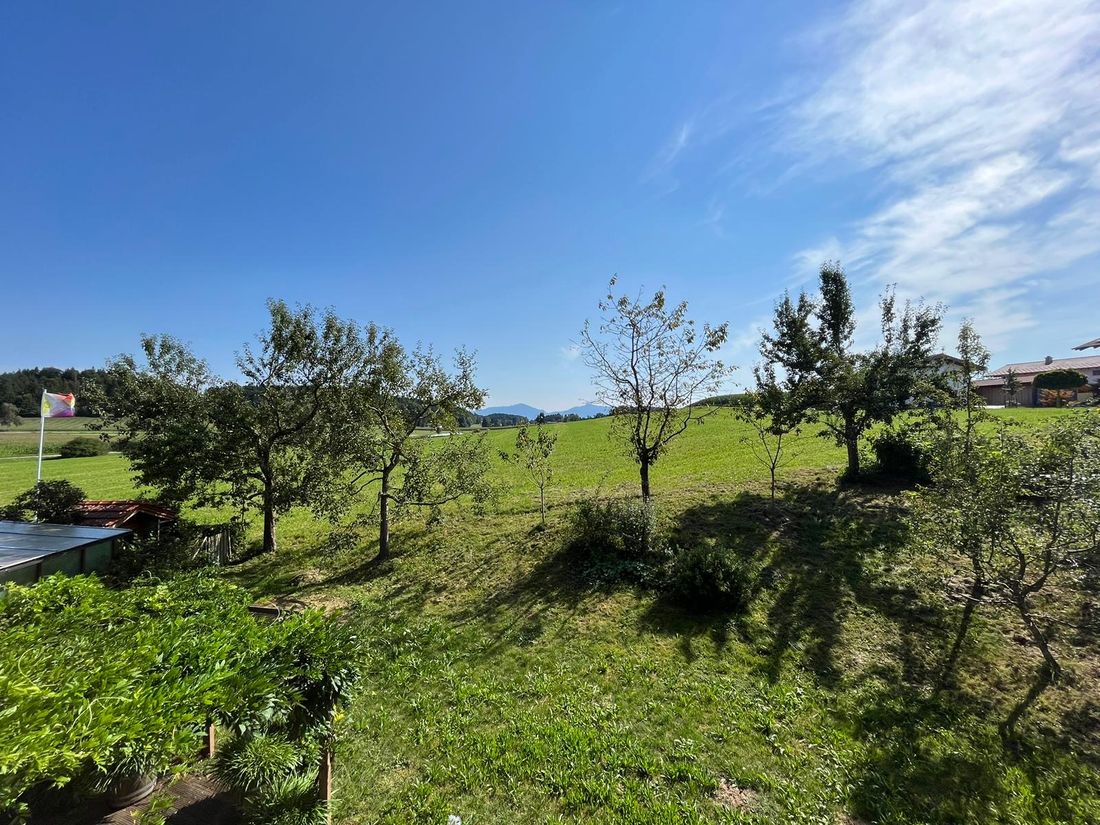 Aussicht Garten