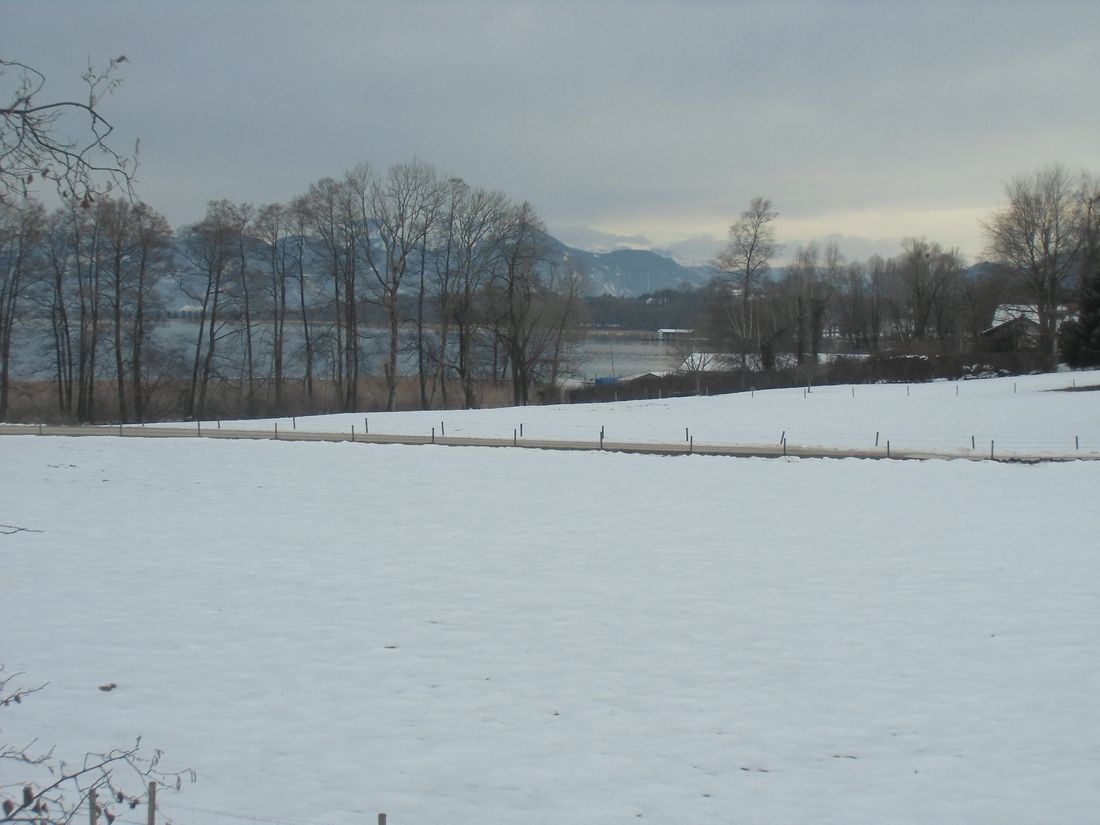 Winterlandschaft